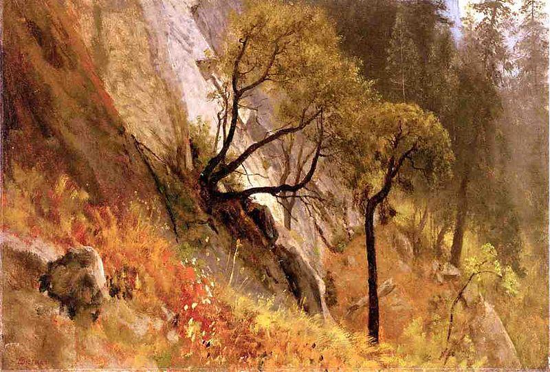 Albert Bierstadt Landscape Study, Yosemite California china oil painting image